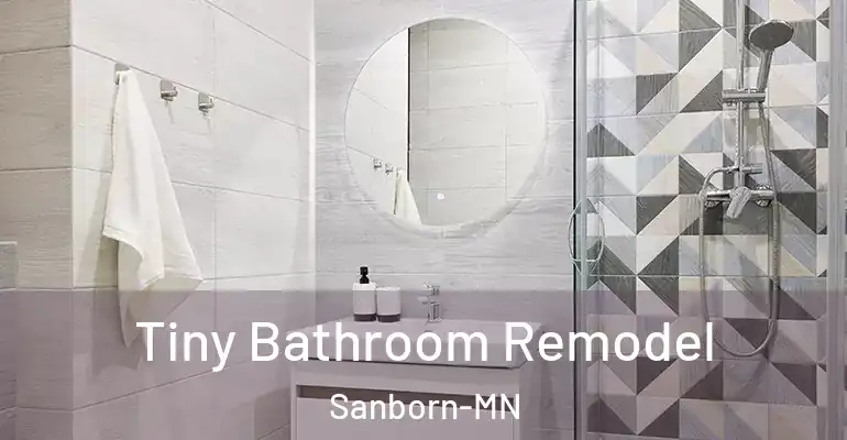 inner Bathroom imggen Tiny Bathroom Remodel Sanborn-MN