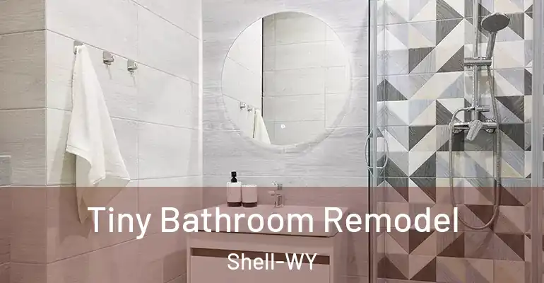 inner Bathroom imggen Tiny Bathroom Remodel Shell-WY