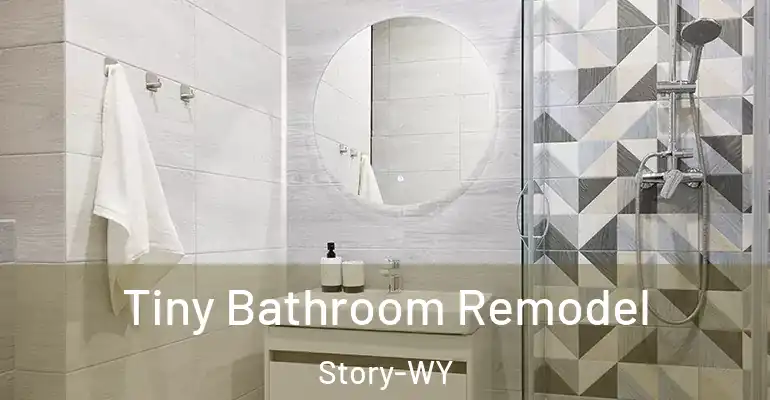 inner Bathroom imggen Tiny Bathroom Remodel Story-WY