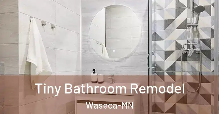 inner Bathroom imggen Tiny Bathroom Remodel Waseca-MN