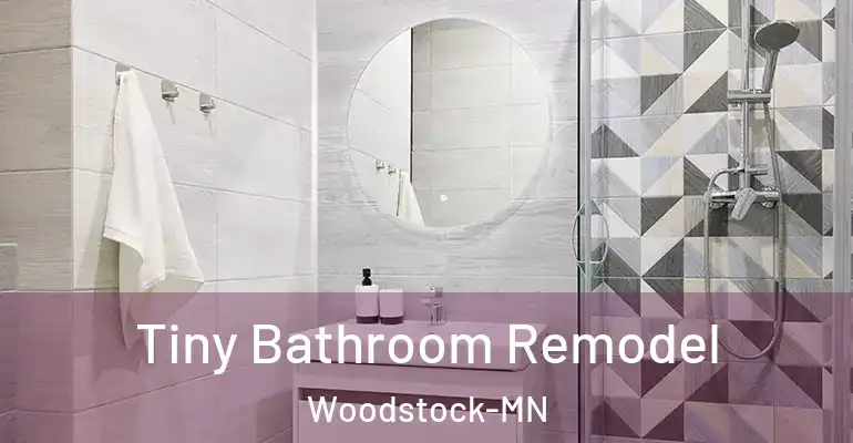 inner Bathroom imggen Tiny Bathroom Remodel Woodstock-MN