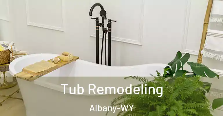 inner Bathroom imggen Tub Remodeling Albany-WY