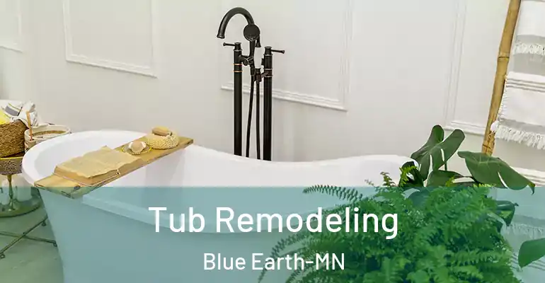 inner Bathroom imggen Tub Remodeling Blue Earth-MN