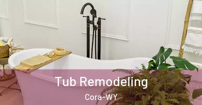inner Bathroom imggen Tub Remodeling Cora-WY