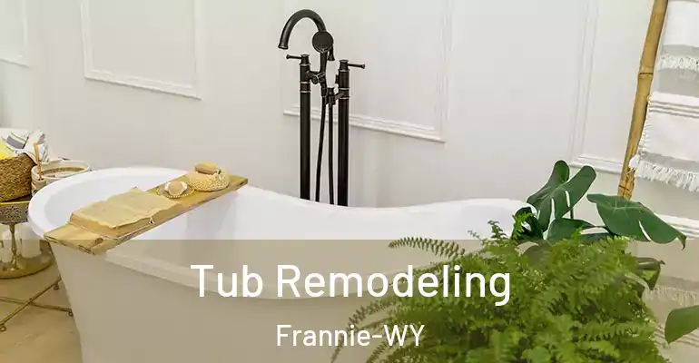 inner Bathroom imggen Tub Remodeling Frannie-WY