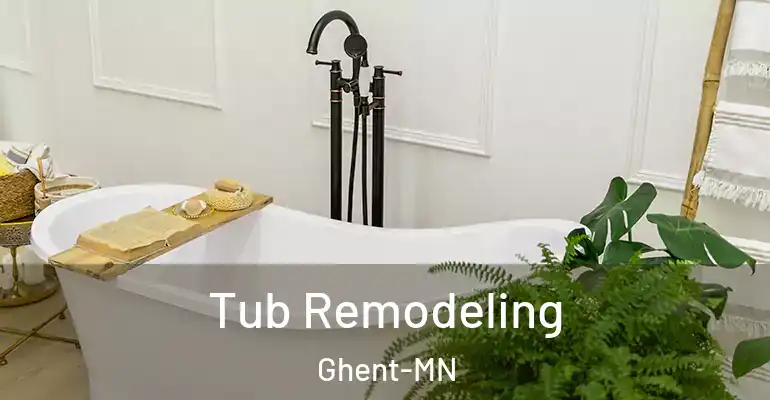 inner Bathroom imggen Tub Remodeling Ghent-MN