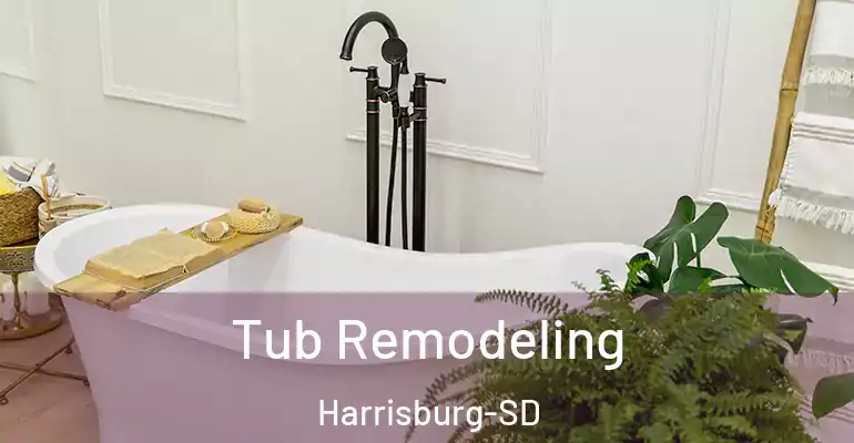 inner Bathroom imggen Tub Remodeling Harrisburg-SD
