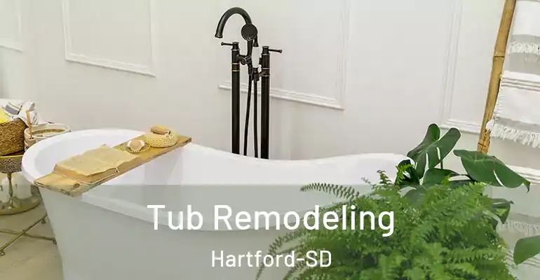 inner Bathroom imggen Tub Remodeling Hartford-SD