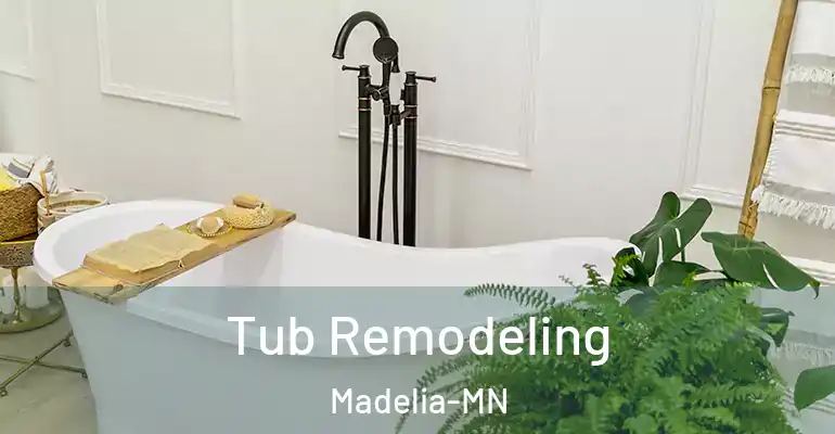 inner Bathroom imggen Tub Remodeling Madelia-MN