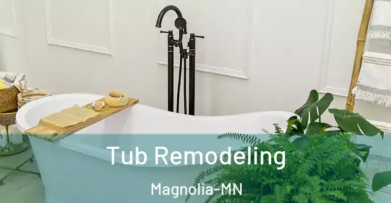 inner Bathroom imggen Tub Remodeling Magnolia-MN