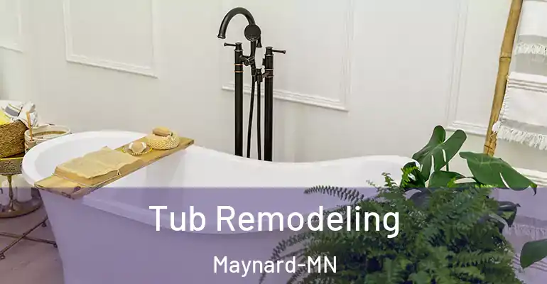inner Bathroom imggen Tub Remodeling Maynard-MN
