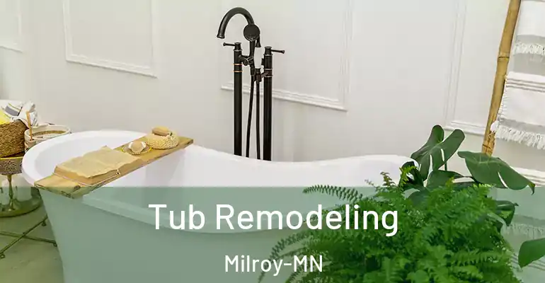 inner Bathroom imggen Tub Remodeling Milroy-MN