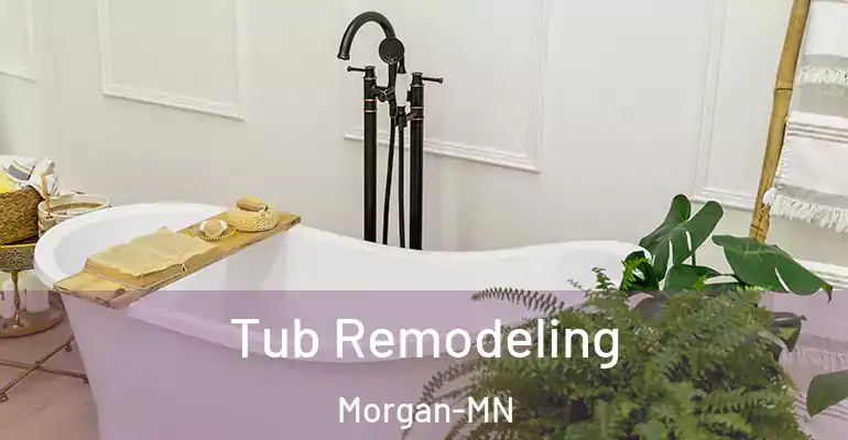 inner Bathroom imggen Tub Remodeling Morgan-MN