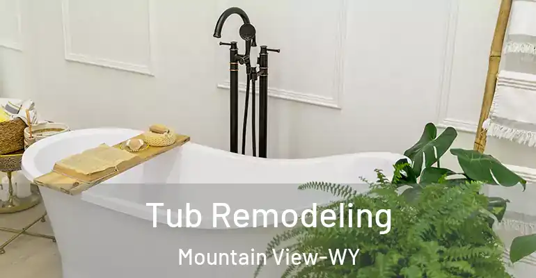 inner Bathroom imggen Tub Remodeling Mountain View-WY