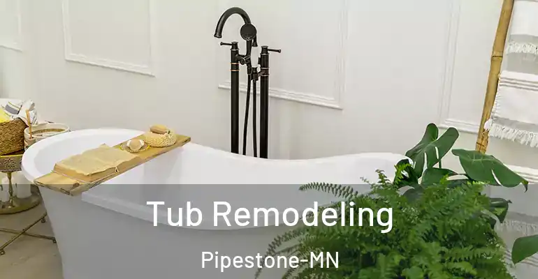 inner Bathroom imggen Tub Remodeling Pipestone-MN