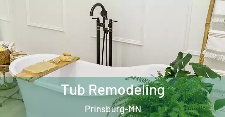 inner Bathroom imggen Tub Remodeling Prinsburg-MN