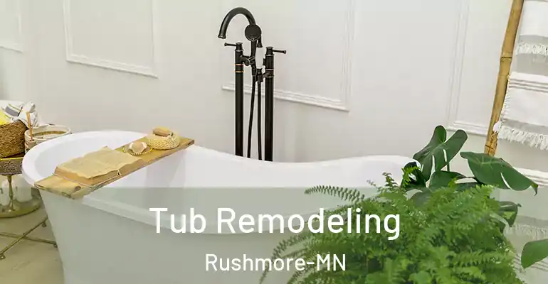 inner Bathroom imggen Tub Remodeling Rushmore-MN