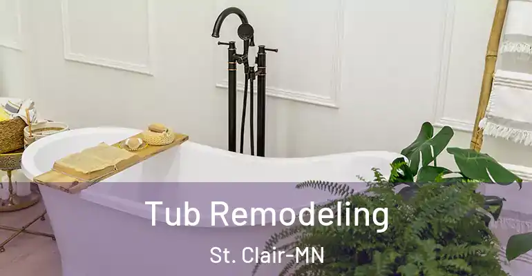 inner Bathroom imggen Tub Remodeling St. Clair-MN