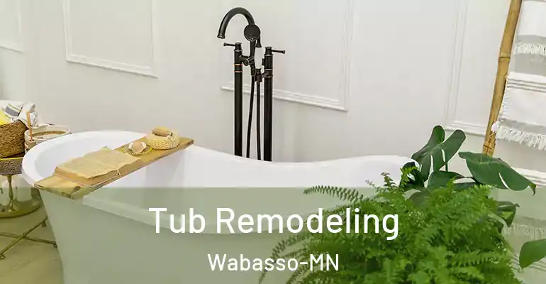 inner Bathroom imggen Tub Remodeling Wabasso-MN
