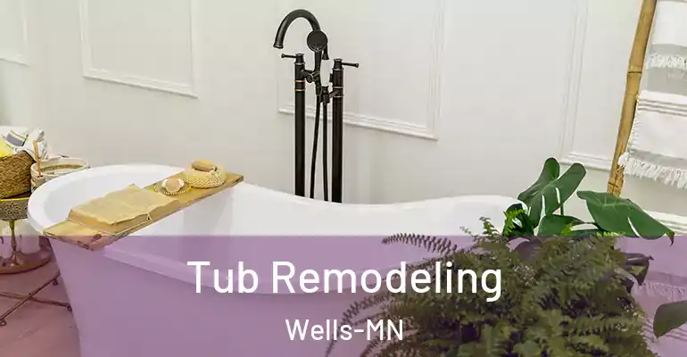inner Bathroom imggen Tub Remodeling Wells-MN