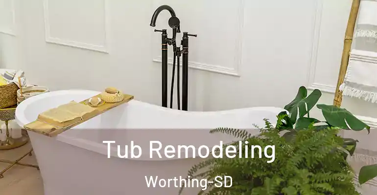 inner Bathroom imggen Tub Remodeling Worthing-SD