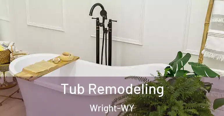 inner Bathroom imggen Tub Remodeling Wright-WY