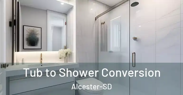 inner Bathroom imggen Tub to Shower Conversion Alcester-SD