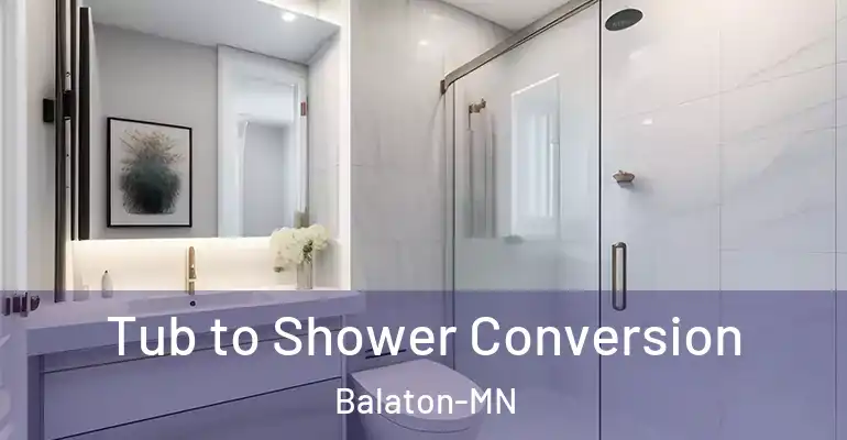 inner Bathroom imggen Tub to Shower Conversion Balaton-MN