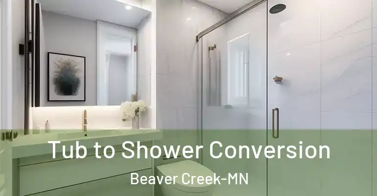 inner Bathroom imggen Tub to Shower Conversion Beaver Creek-MN
