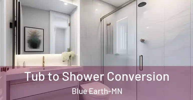 inner Bathroom imggen Tub to Shower Conversion Blue Earth-MN