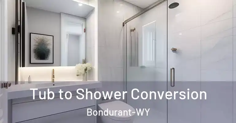 inner Bathroom imggen Tub to Shower Conversion Bondurant-WY