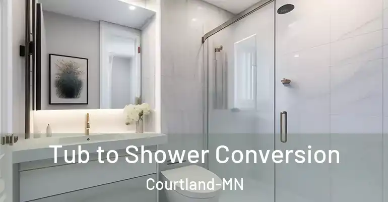 inner Bathroom imggen Tub to Shower Conversion Courtland-MN