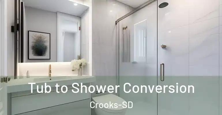 inner Bathroom imggen Tub to Shower Conversion Crooks-SD