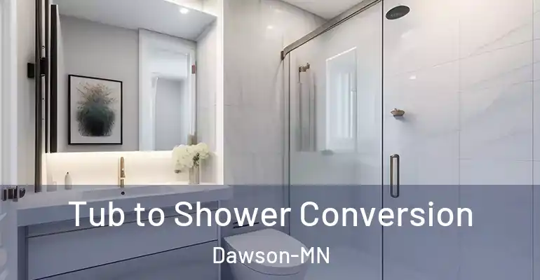 inner Bathroom imggen Tub to Shower Conversion Dawson-MN