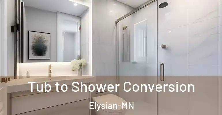 inner Bathroom imggen Tub to Shower Conversion Elysian-MN