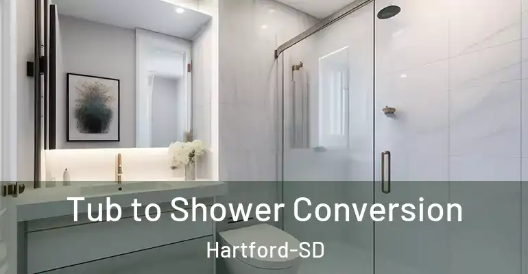 inner Bathroom imggen Tub to Shower Conversion Hartford-SD