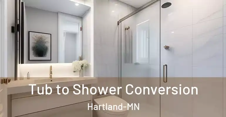 inner Bathroom imggen Tub to Shower Conversion Hartland-MN