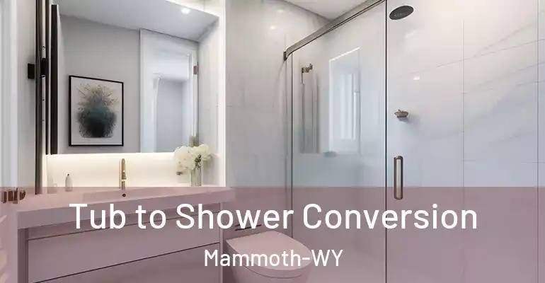 inner Bathroom imggen Tub to Shower Conversion Mammoth-WY