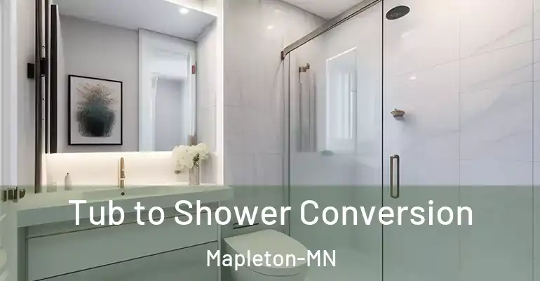 inner Bathroom imggen Tub to Shower Conversion Mapleton-MN
