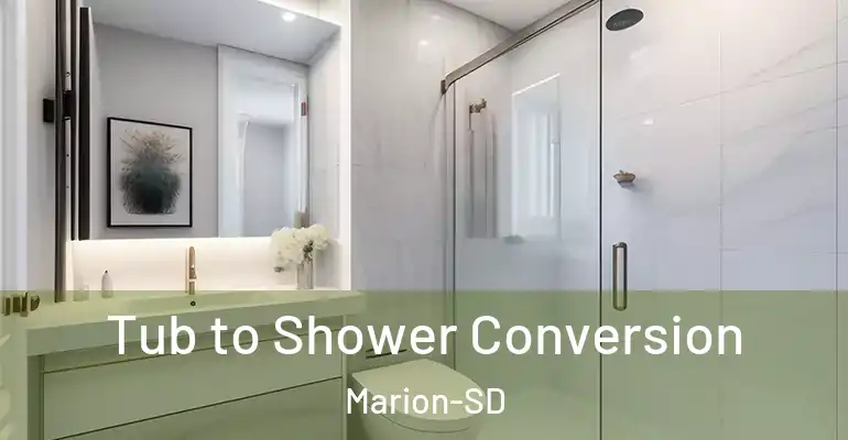 inner Bathroom imggen Tub to Shower Conversion Marion-SD