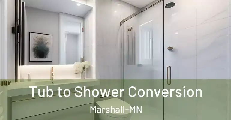 inner Bathroom imggen Tub to Shower Conversion Marshall-MN