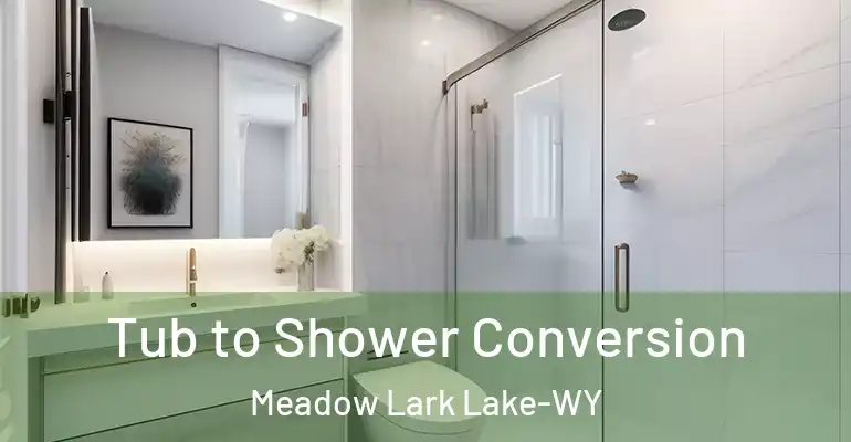 inner Bathroom imggen Tub to Shower Conversion Meadow Lark Lake-WY