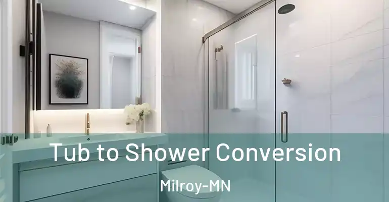 inner Bathroom imggen Tub to Shower Conversion Milroy-MN