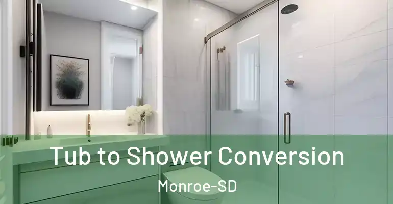 inner Bathroom imggen Tub to Shower Conversion Monroe-SD