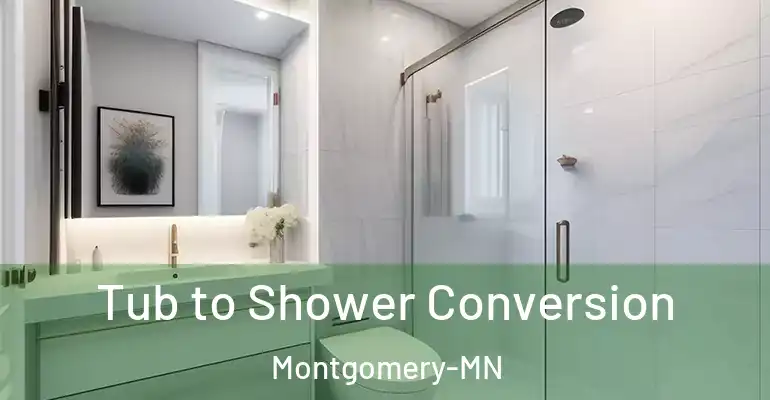 inner Bathroom imggen Tub to Shower Conversion Montgomery-MN
