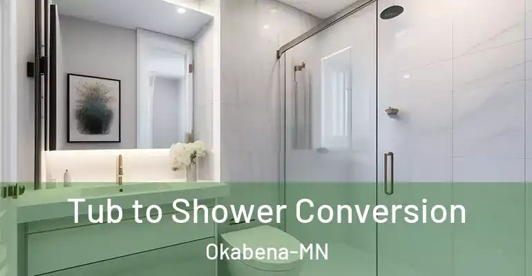 inner Bathroom imggen Tub to Shower Conversion Okabena-MN