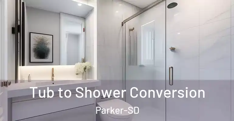 inner Bathroom imggen Tub to Shower Conversion Parker-SD