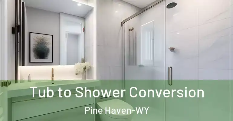 inner Bathroom imggen Tub to Shower Conversion Pine Haven-WY
