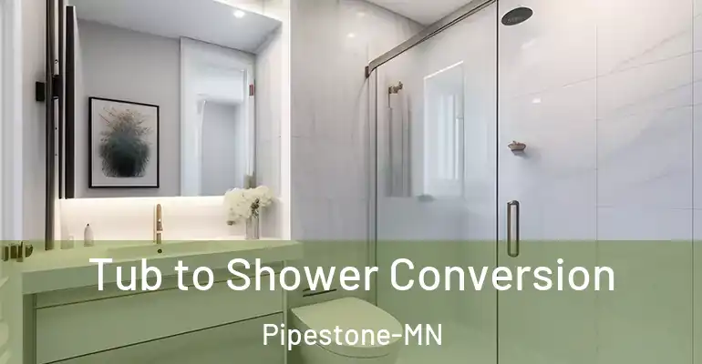inner Bathroom imggen Tub to Shower Conversion Pipestone-MN