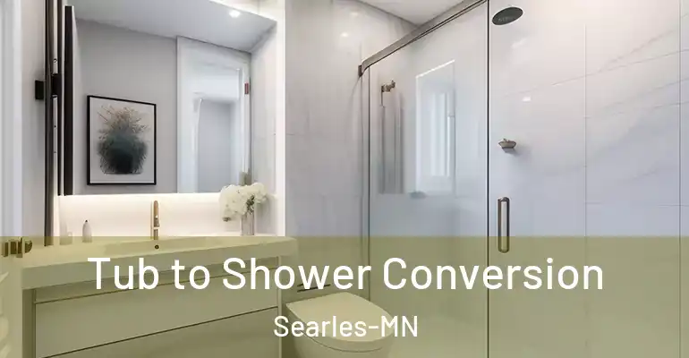 inner Bathroom imggen Tub to Shower Conversion Searles-MN